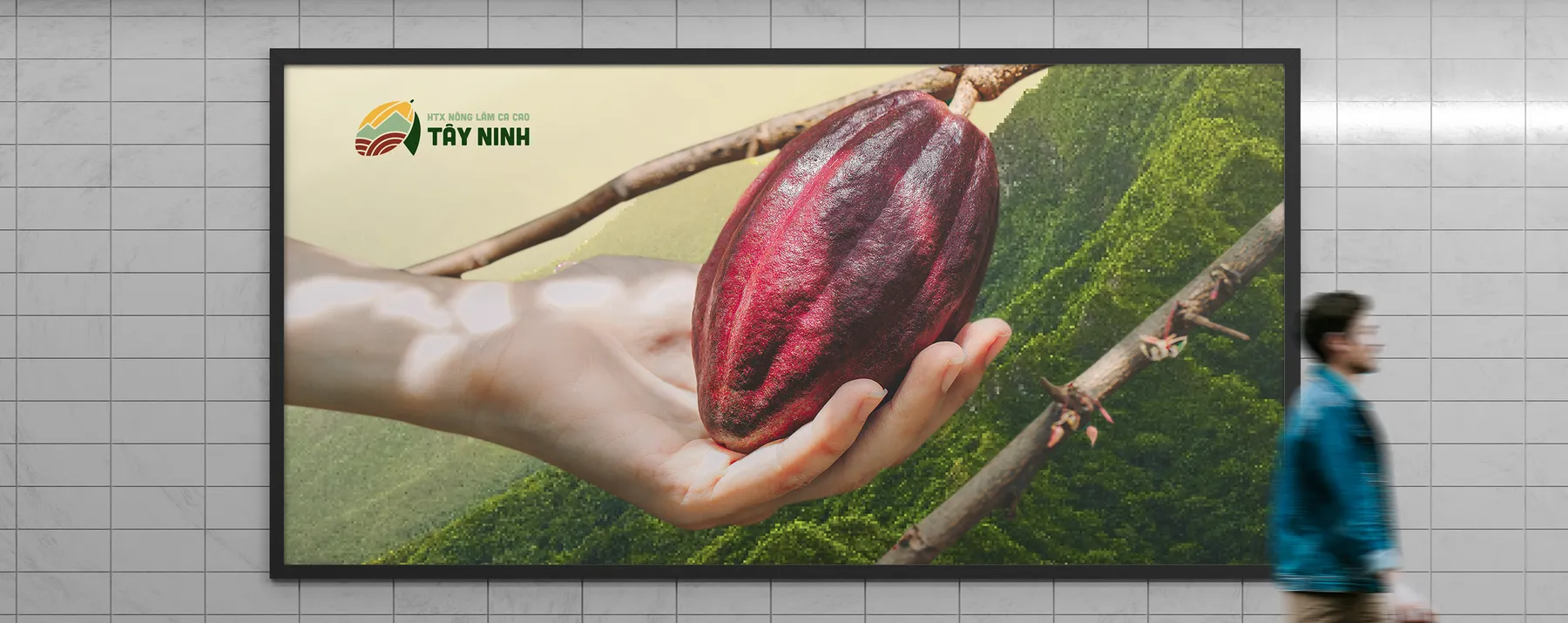 HỢP TÁC XÃ NÔNG LÂM CACAO TÂY NINH
