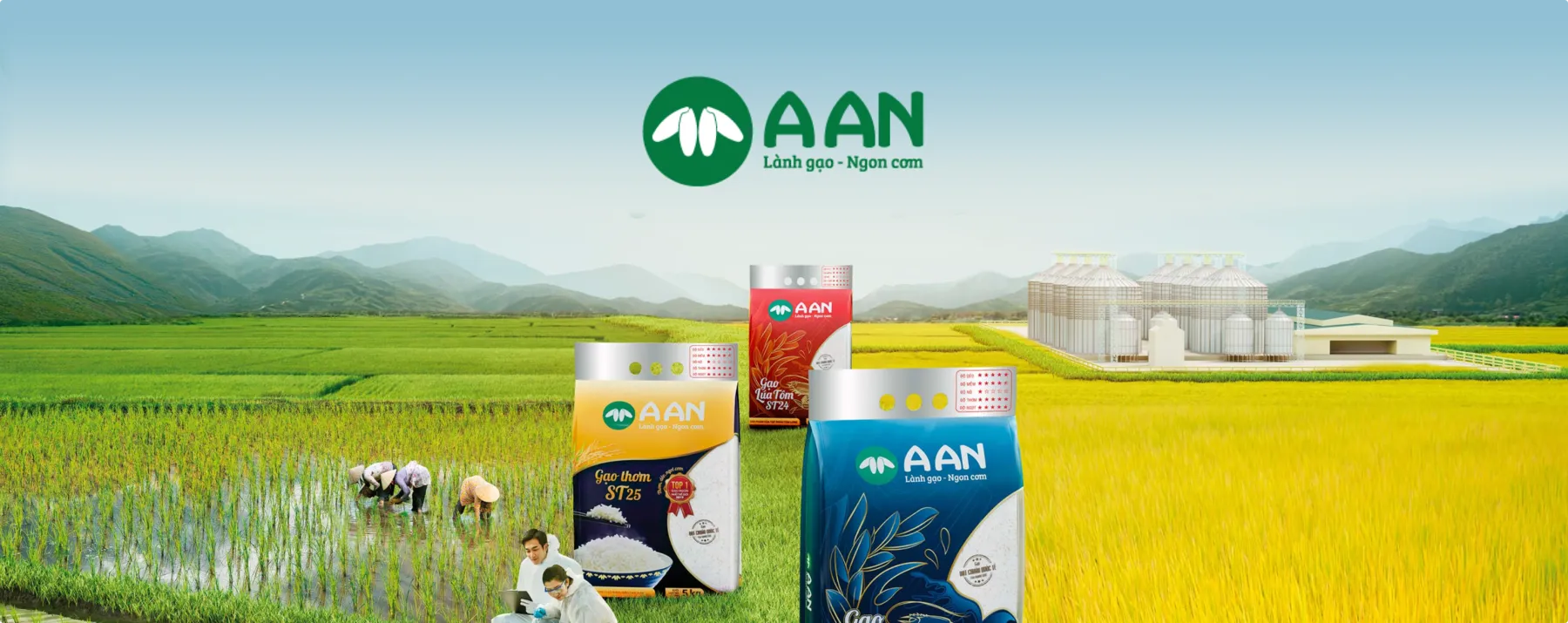 A An Rice